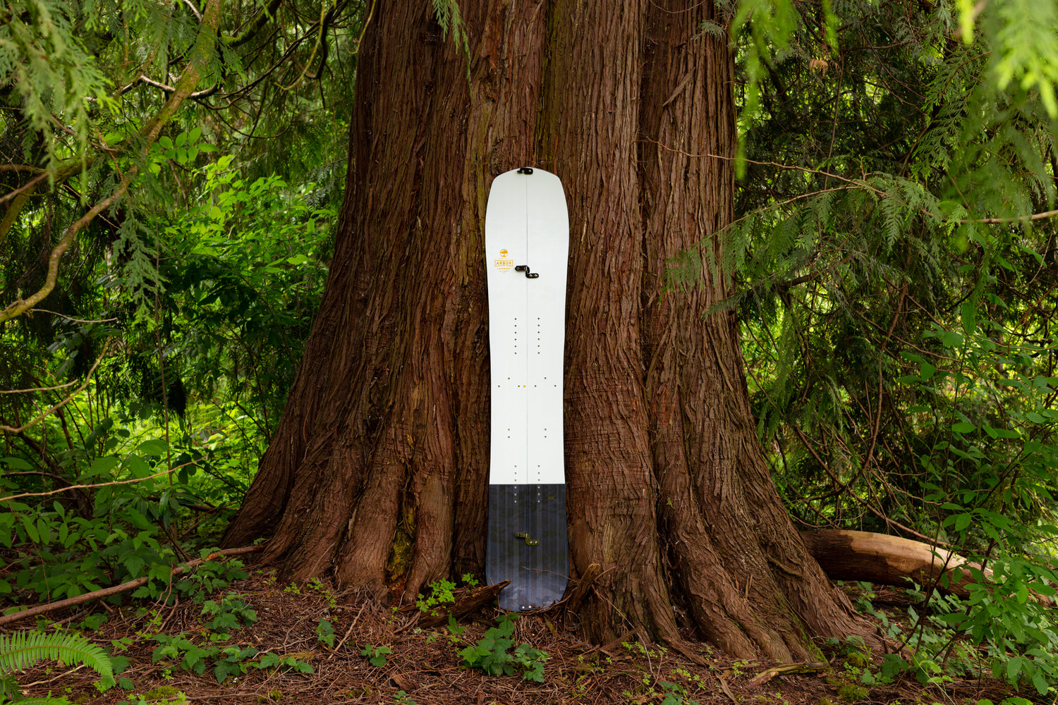 Arbor Collective
