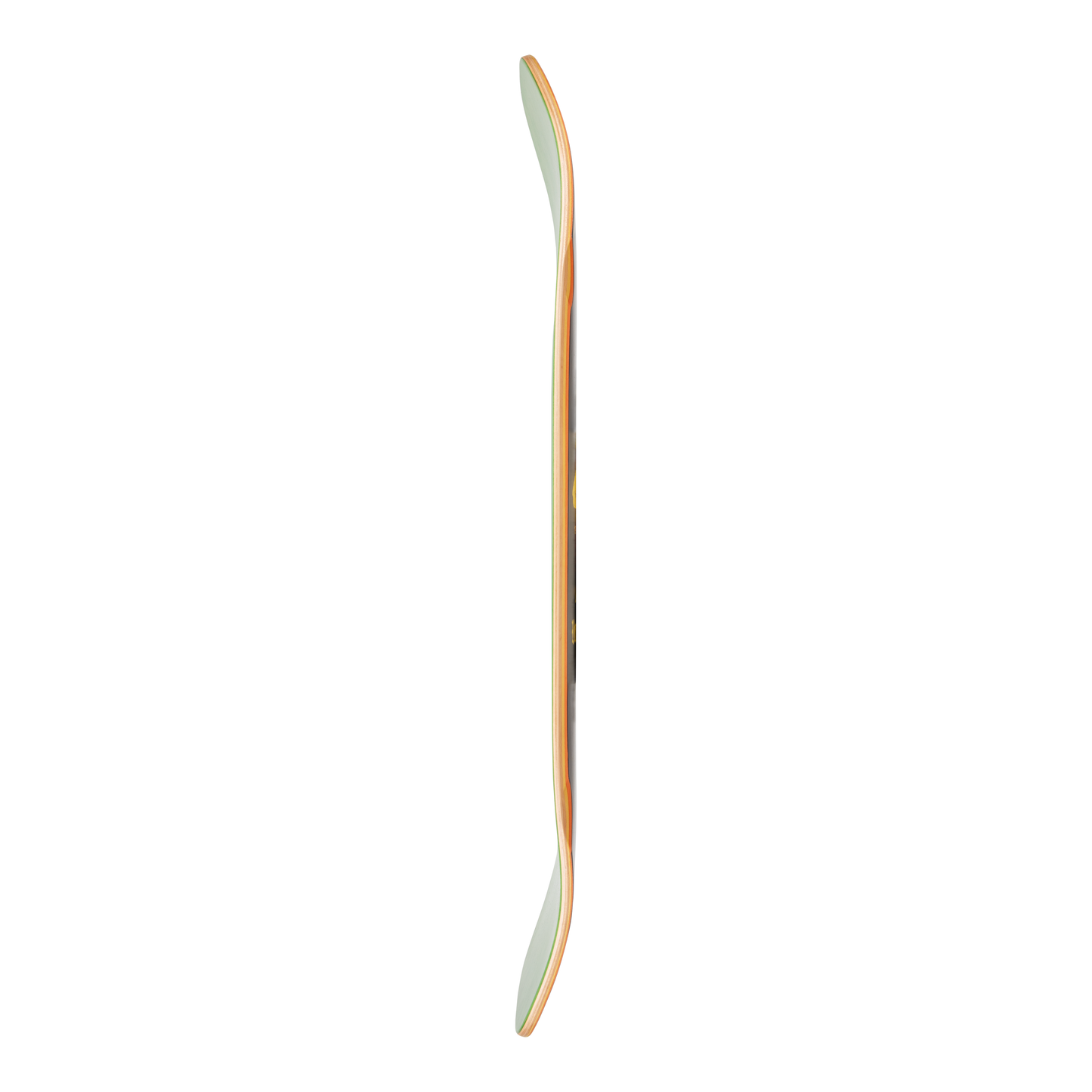 Arbor Legacy Cruiser Deck - Legacy Rooted 9.75 - profile