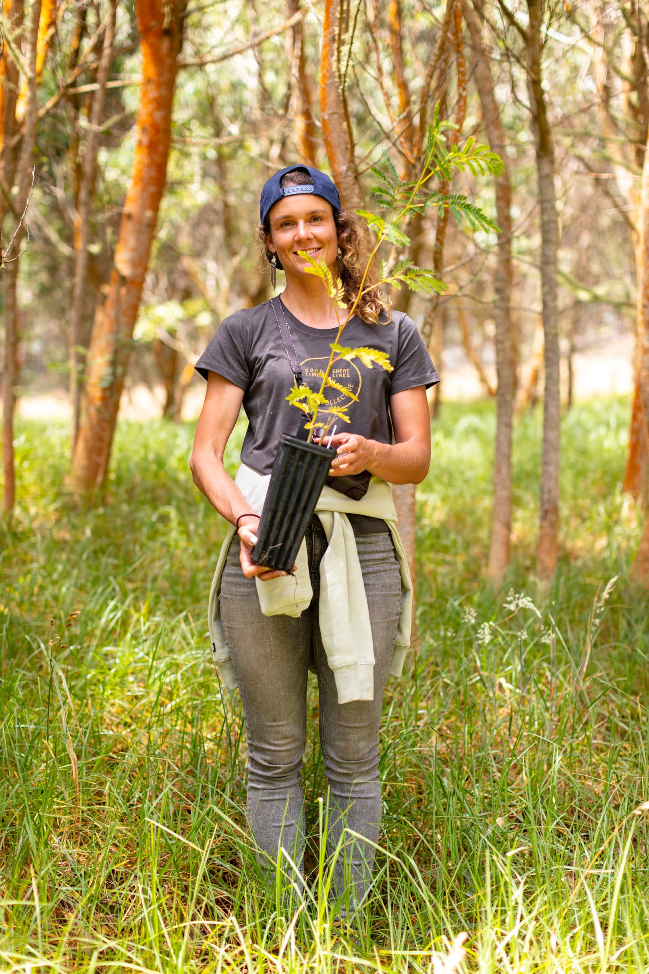 Arbor Collective Returning Roots