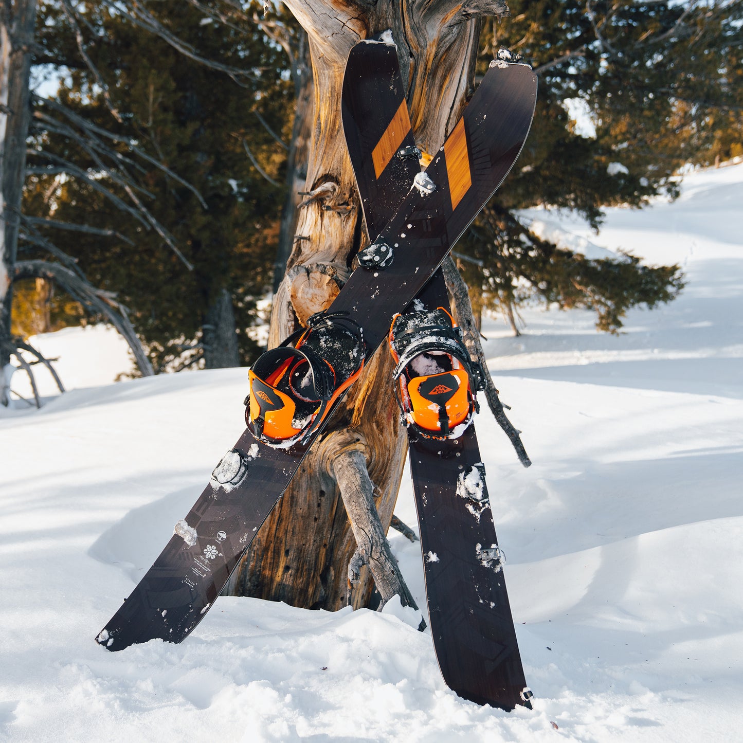 Satori Splitboard Camber