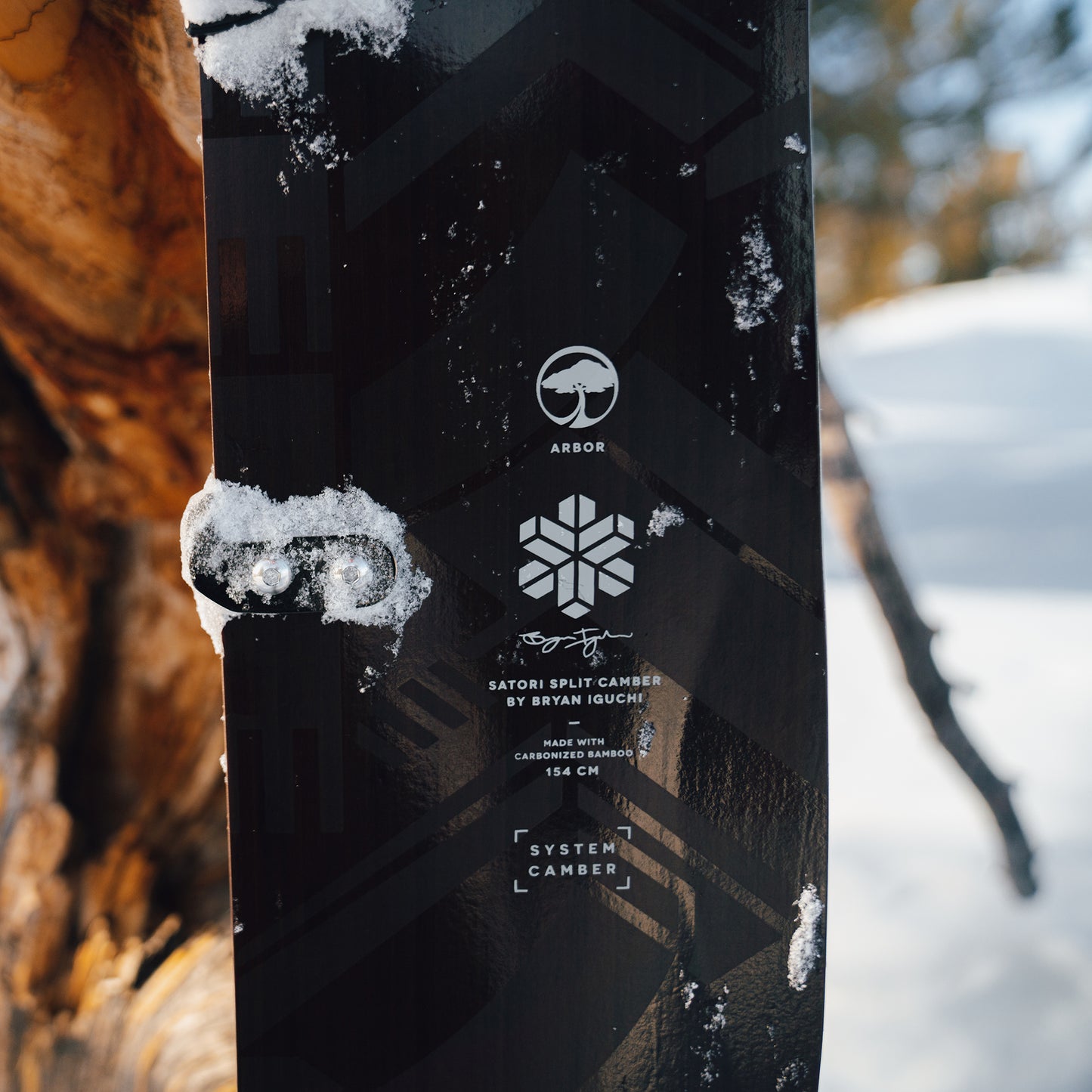 Satori Splitboard Camber