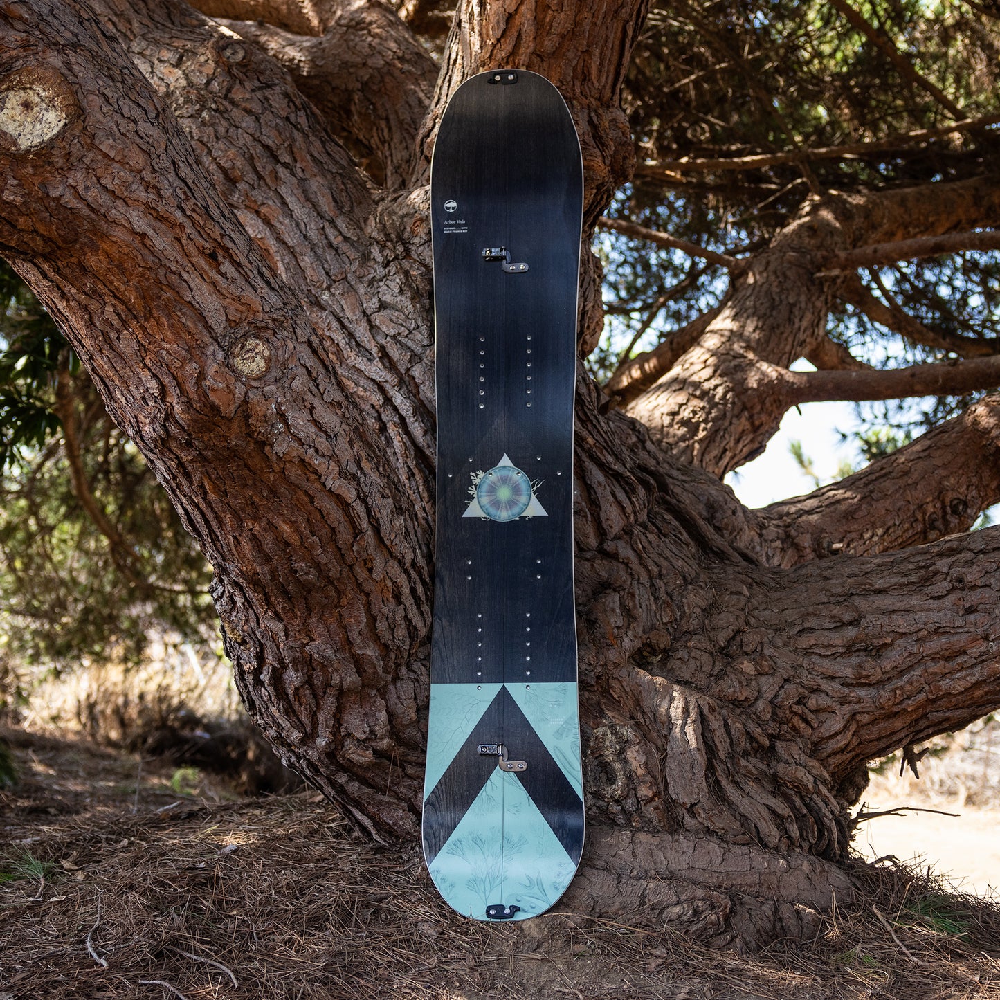 Veda Splitboard Camber