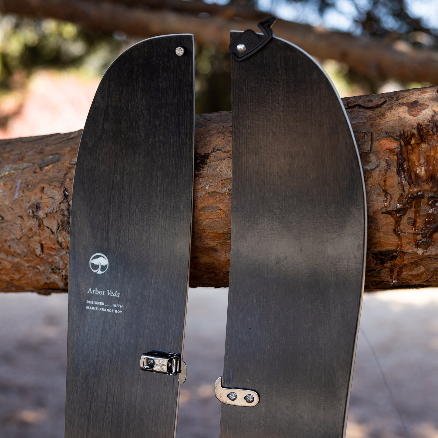 Veda Splitboard Camber