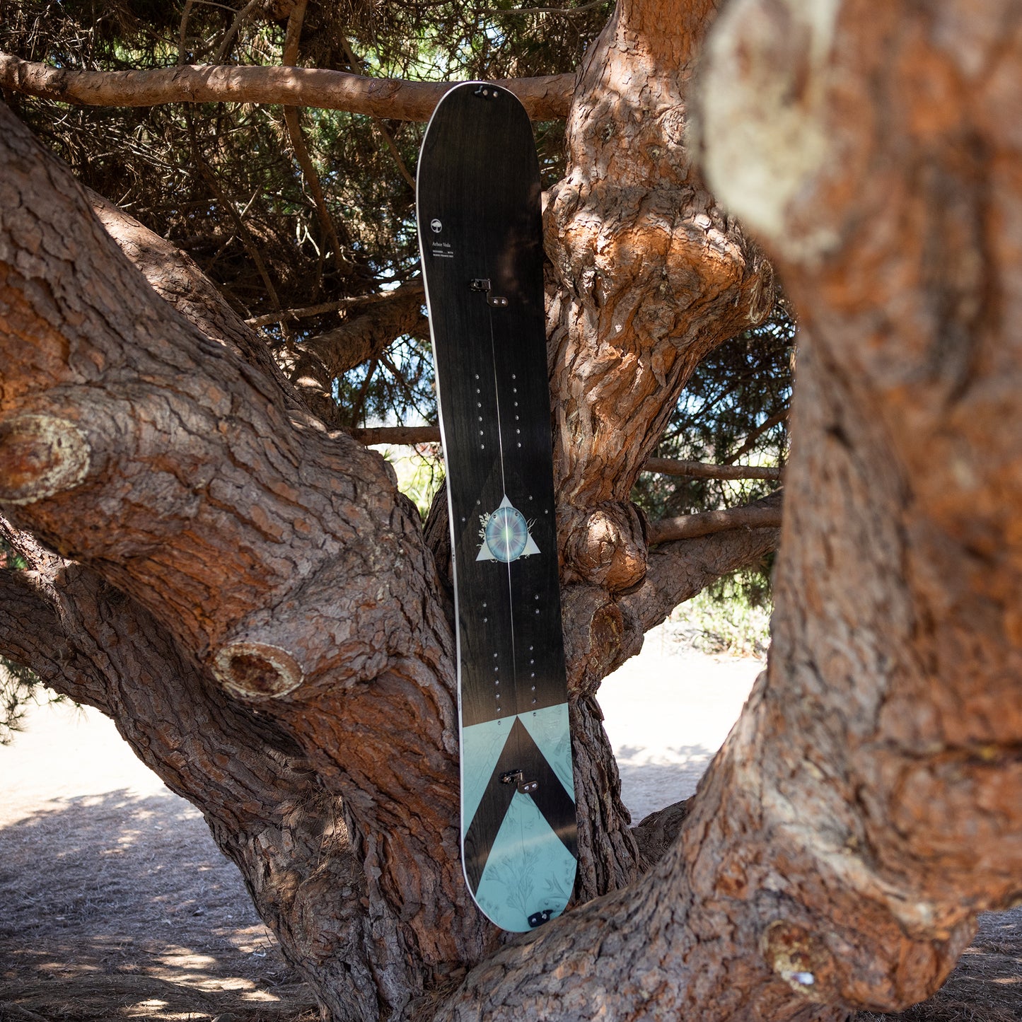 Veda Splitboard Camber